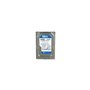 Western Digital WD3200AAJS 320GB SATA 8MB Azul 7200rpm