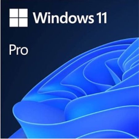 Microsoft Windows 11 Professional Licença OEM - ESD