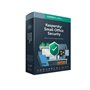 Antivirus kaspersky small office server + 10 usuários 1 ano v7